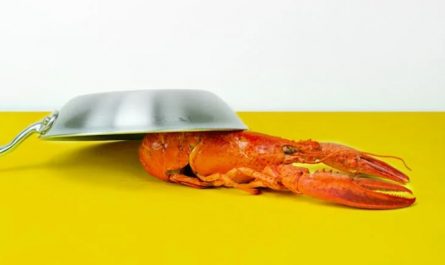 Soñar con langosta : 31 escenarios y significados