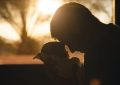 Soñar con padre fallecido : 54 escenarios y significados