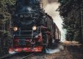 Soñar con accidentes de tren : 34 escenarios y significados