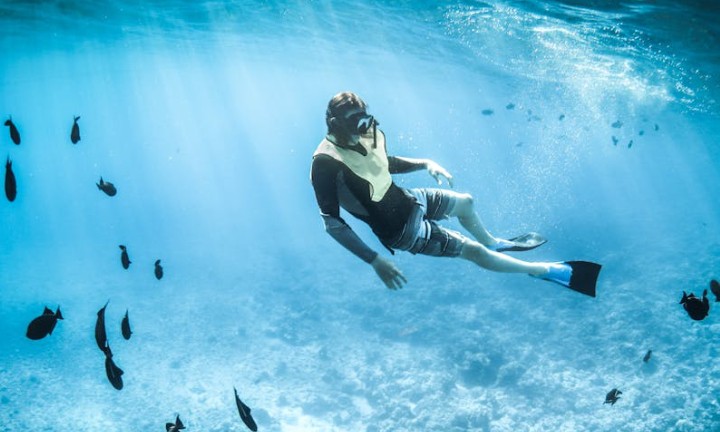 Soñar con buceo : 21 escenarios y significados