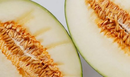 Soñar con melón : 40 escenarios y significados