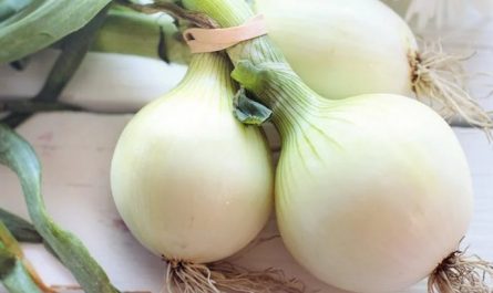 Soñar con cebollas : 44 escenarios y significados