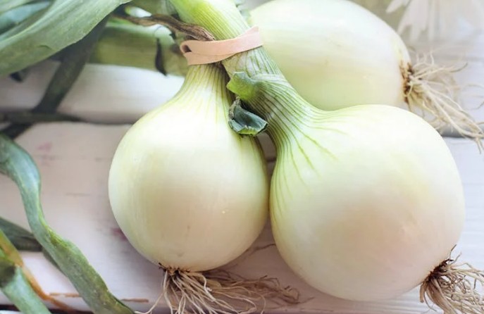Soñar con cebollas : 44 escenarios y significados