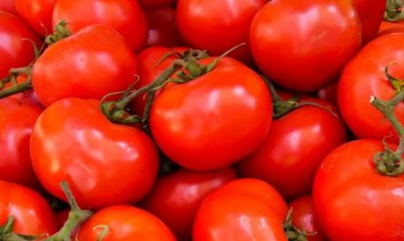 Soñar con tomates : 49 escenarios y significados