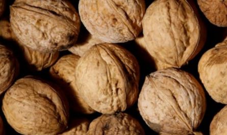 Soñar con nueces : 40 escenarios y significados