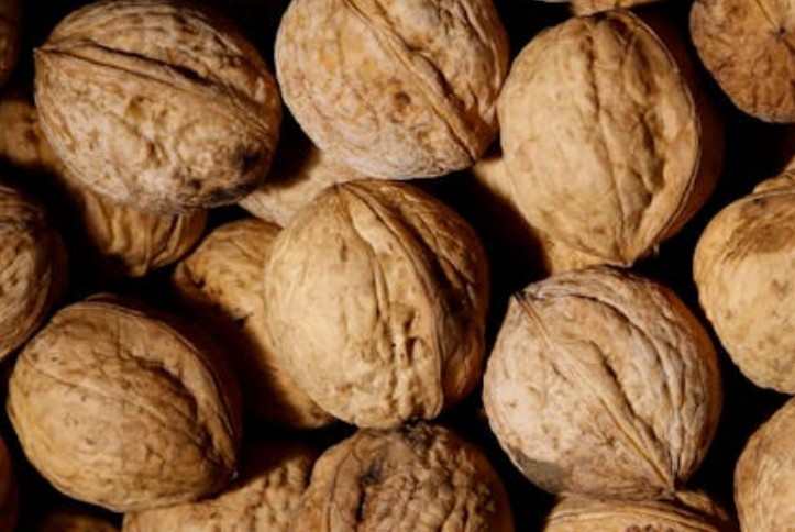 Soñar con nueces : 40 escenarios y significados
