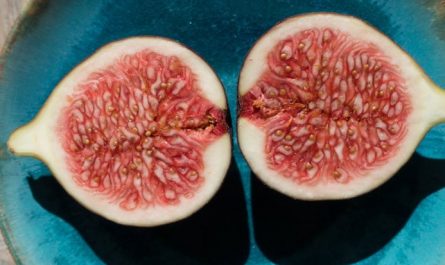 Soñar con higos : 48 escenarios y significados