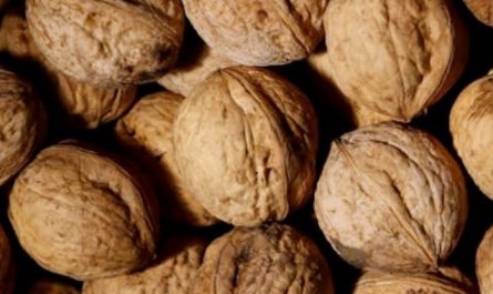 Soñar con nueces: 42 escenarios y significados