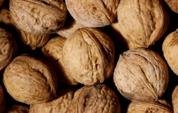 Soñar con nueces: 42 escenarios y significados