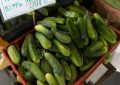 Soñar con pepinos : 29 escenarios y significados