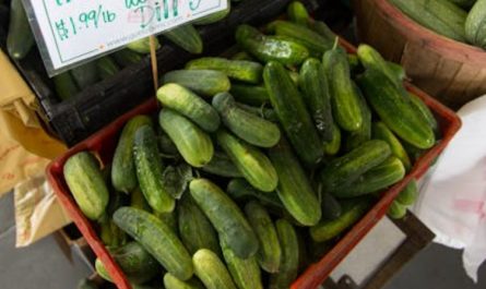 Soñar con pepinos : 29 escenarios y significados