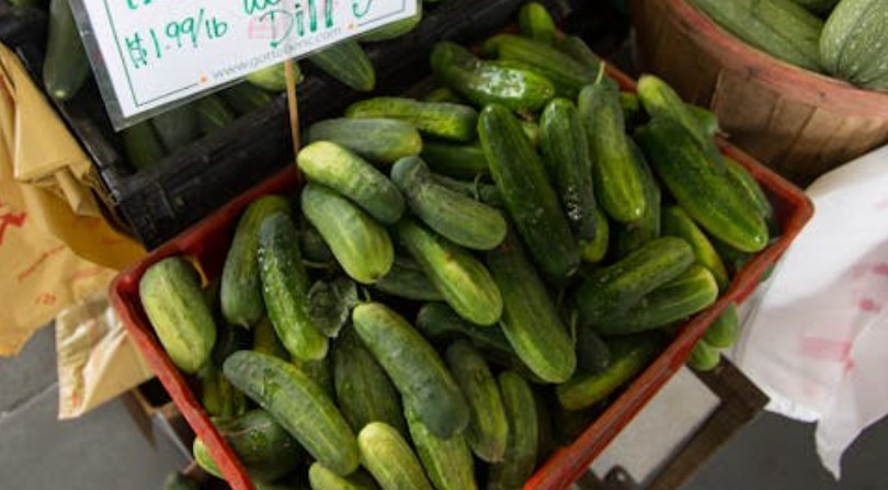 Soñar con pepinos : 29 escenarios y significados
