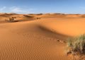 Soñar con el desierto : 38 escenarios y significados