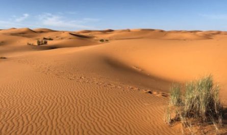 Soñar con el desierto : 38 escenarios y significados