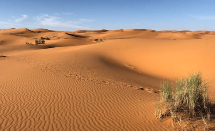 Soñar con el desierto : 38 escenarios y significados