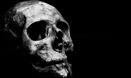 Soñar con huesos : 37 escenarios y significados