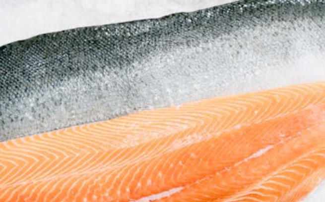 Soñar con salmón : 34 escenarios y significados