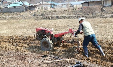 Soñar con una casa de campo : 9 escenarios y significados
