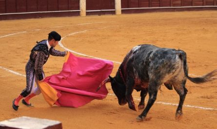 Soñar con un toro  : 21 escenarios y significados