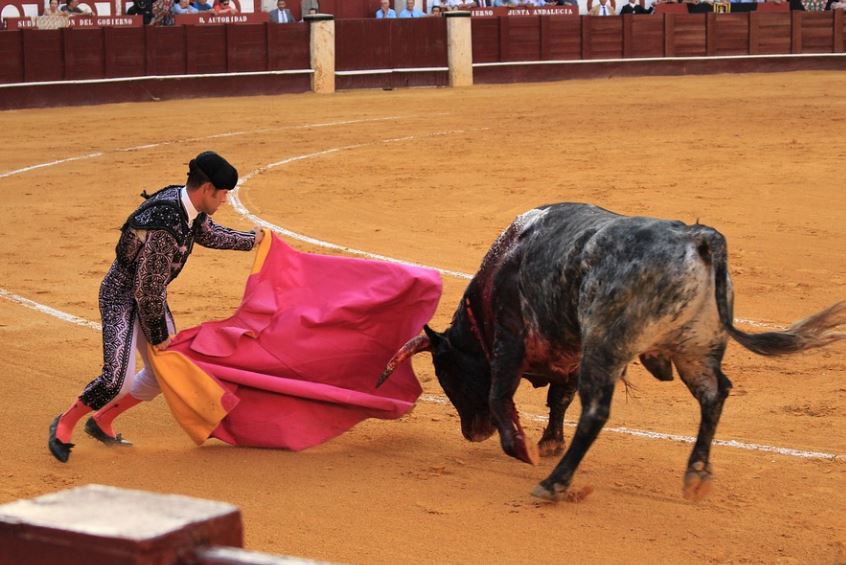 Soñar con un toro  : 21 escenarios y significados