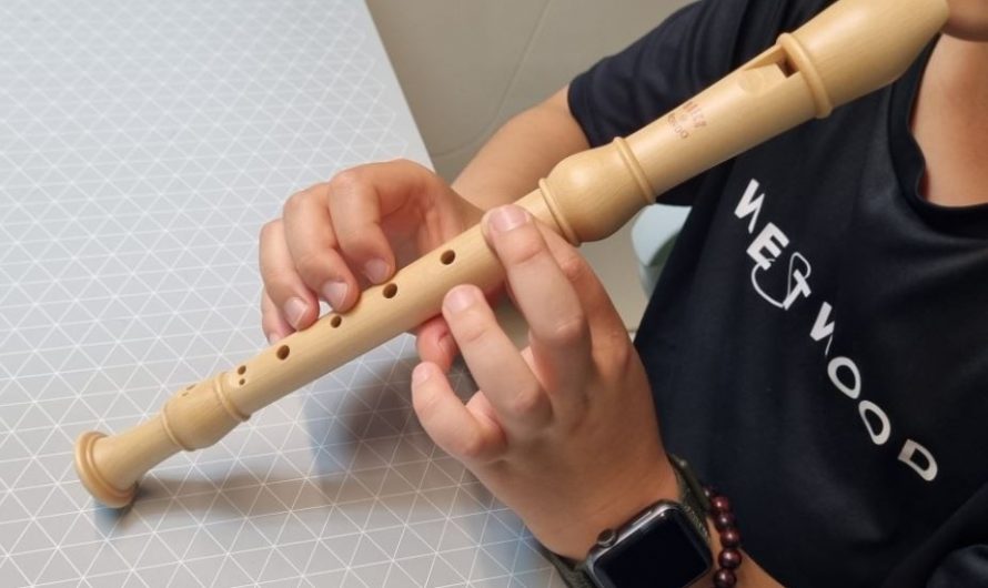 Soñar con una flauta dulce : 7 escenarios y significados