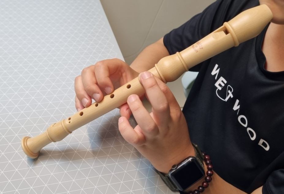 Soñar con una flauta dulce : 7 escenarios y significados