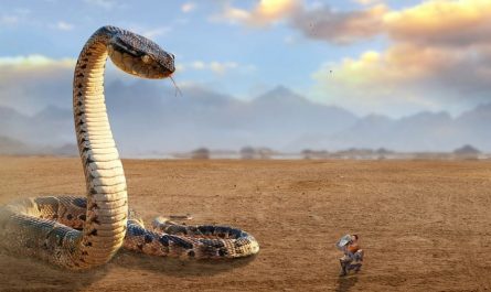 Soñar con ser atacado por una serpiente : 12 escenarios y significados
