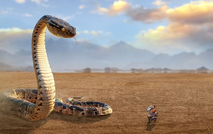 Soñar con ser atacado por una serpiente : 12 escenarios y significados