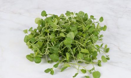 Soñar con rábanos : 12 significado y simbolismo