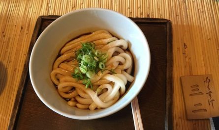 Soñar con fideos udon : 12 significado y simbolismo