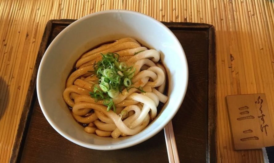 Soñar con fideos udon : 12 significado y simbolismo