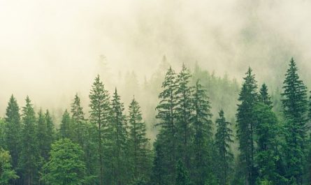 Soñar con niebla : 10 significado y simbolismo