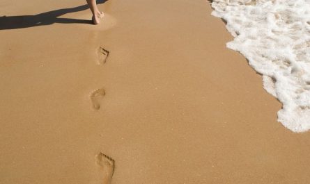 Soñar con huellas : 8 significado y simbolismo