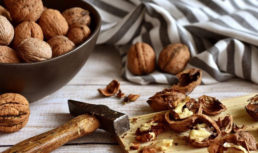 Soñar con nueces : 13 significado y simbolismo