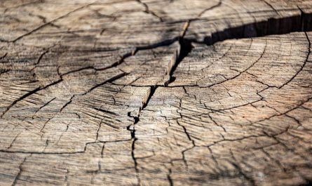 Soñar con grietas : 8 significado y simbolismo