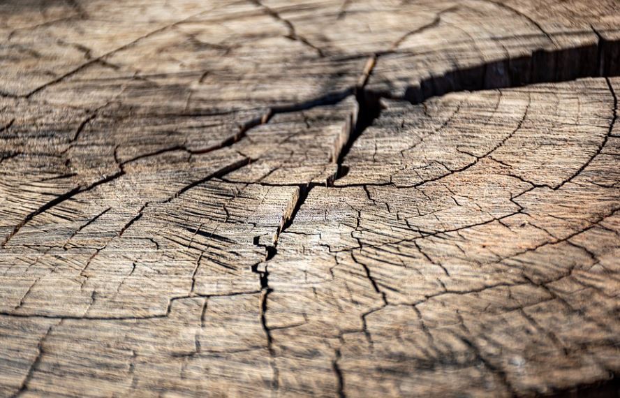 Soñar con grietas : 8 significado y simbolismo