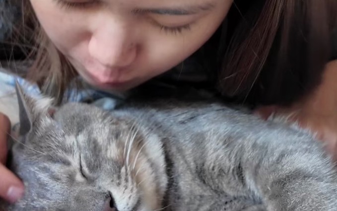 Soñar con tener un gato : 5 significado y simbolismo