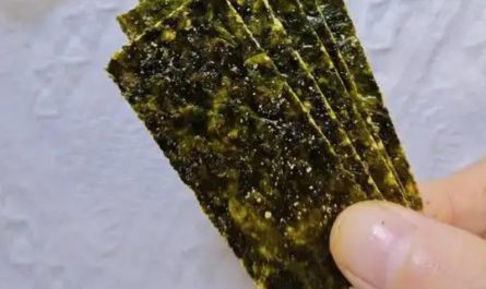 Soñar con comer algas: 7 significados y simbolismos