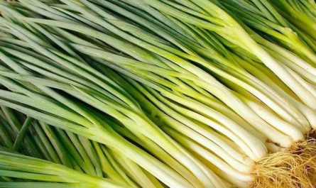 Soñar con cebolletas: 15 significados y simbolismos