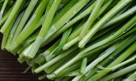 Soñar con cebollino: 14 significados y simbolismos