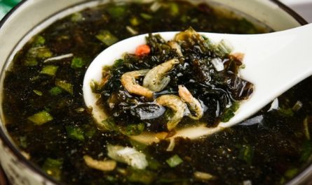 11 Significados de Soñar con Sopa de Algas