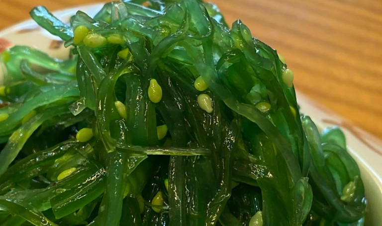 10 Significados de Soñar con Algas