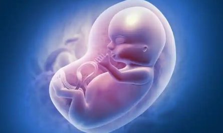 16 Significados de Soñar con Aborto