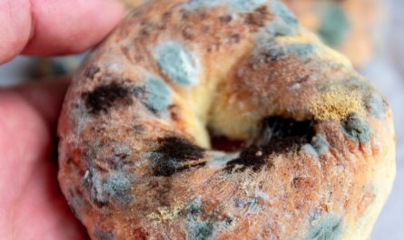 19 Significados de Soñar con Moho