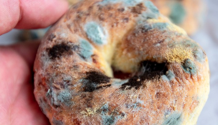 19 Significados de Soñar con Moho