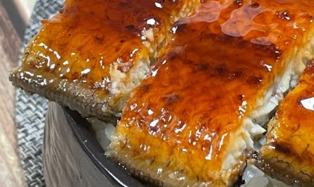 17 Significados de Soñar con Anguilas