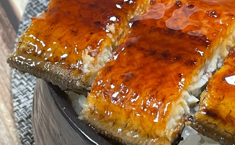 17 Significados de Soñar con Anguilas