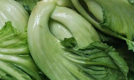 14 Significados de Soñar con Chucrut