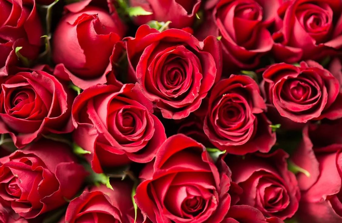 28 Significados de Soñar con Flores