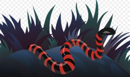 15 Significados de Soñar con Serpientes Rojas y Negras